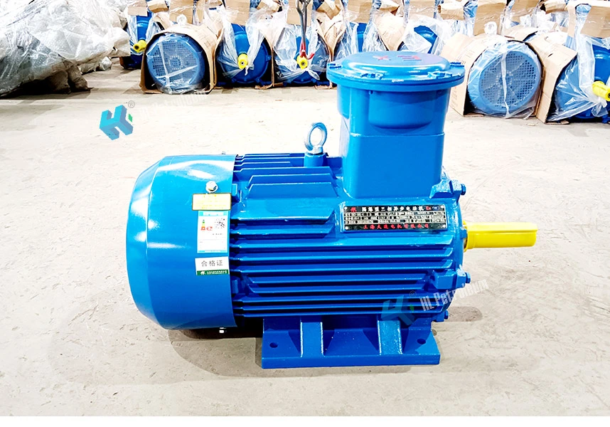 Explosion-Proof Motor